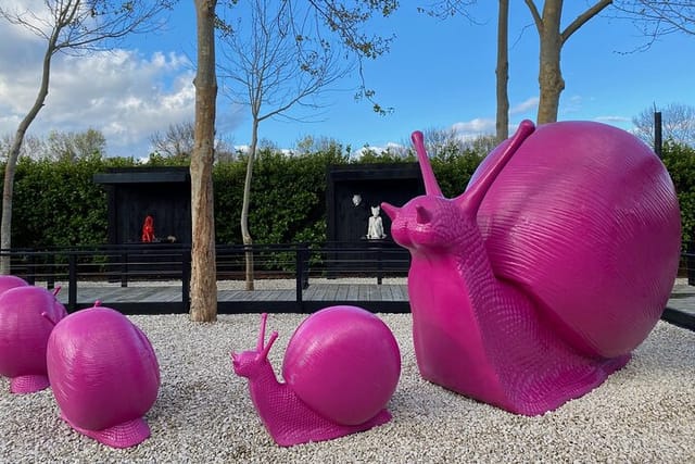 Pink Snails from the Kraken Art Group